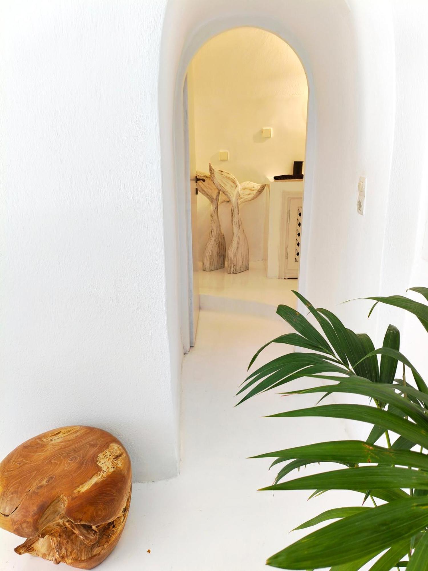 The Magic Luxury Cave Suites Vóthon エクステリア 写真